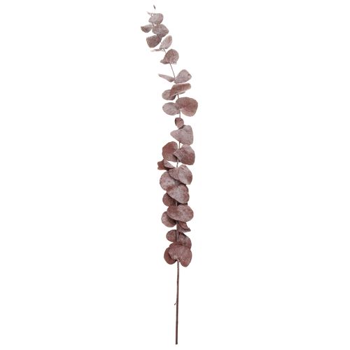 Product Eucalyptus branches, preserved eucalyptus, dried flowers, red, 75cm, 150g