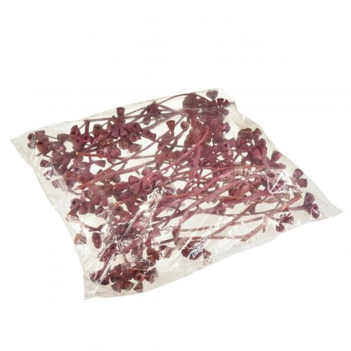 Product Eucalyptus Branches Red Frosted Natural Decoration Exotics 25 Pcs