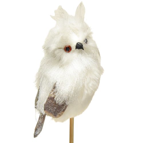 Floristik24 Owl on the rod white 9cm L48cm