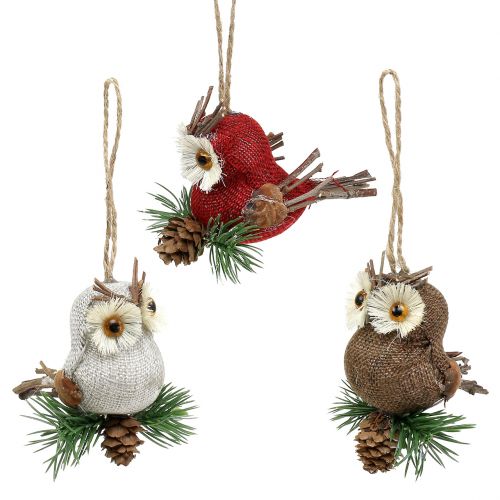 Floristik24 Owl to hang autumn decoration 3pcs