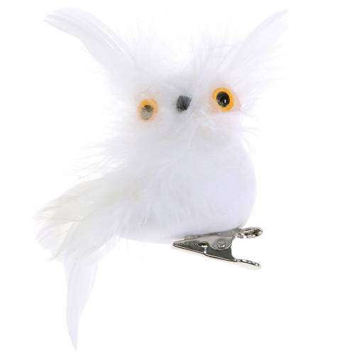 Floristik24 Decorative owl on clip white 10cm 4pcs