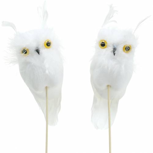 Floristik24 Deco plug owl white 10cm 2pcs