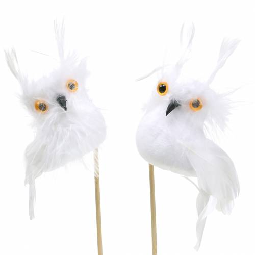 Floristik24 Deco plug Owl White 5cm 4pcs