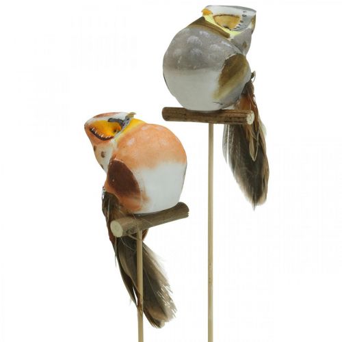 Product Deco plug owl, floral decoration, owl with feathers H5.5cm 6pcs