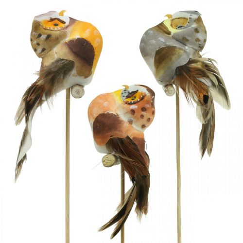 Floristik24 Deco plug owl, floral decoration, owl with feathers H5.5cm 6pcs