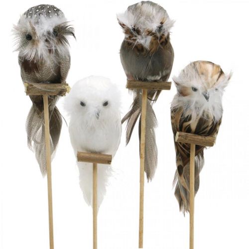 Floristik24 Flower plug deco owl with feathers white, brown H15cm 4pcs