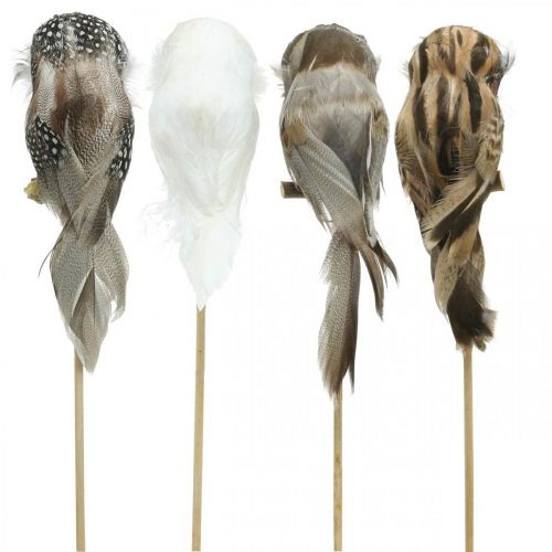 Floristik24 Flower plug deco owl with feathers white, brown H15cm 4pcs