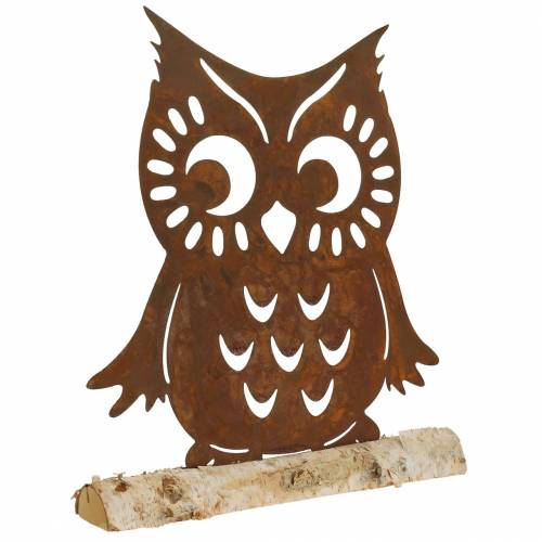 Floristik24 Owl patina on birch trunk 42cm x 36cm