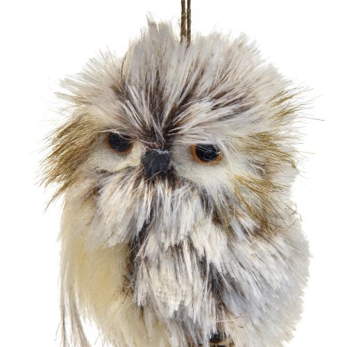 Floristik24 Owl decoration owl figures small, forest animals decoration 11cm white-brown 2pcs