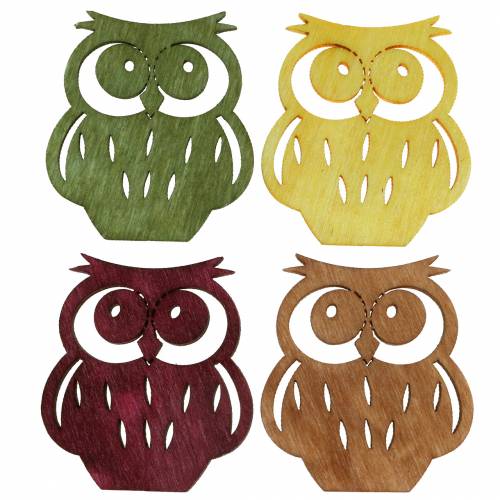 Floristik24 Litter Deco Owls Wood assorted 4cm 72pcs