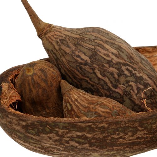 Floristik24 Baobab fruit mix with shell 300g