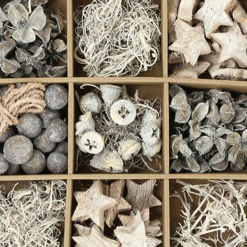 Floristik24 Exotic mix washed white