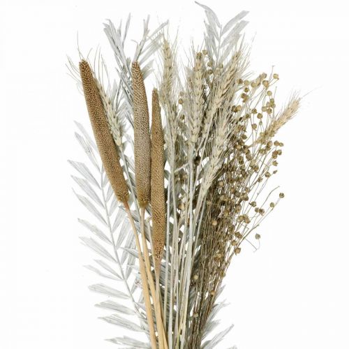 Floristik24 Dried Flowers DIY Box Exotic Dry Bouquet White, Natural H55cm