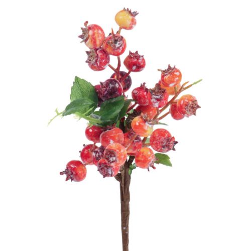 Floristik24 Rosehip deco Rosehip branch Artificial deco branch 35cm