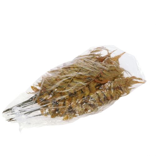 Product Artificial Fern Autumn Colors 33cm 12 pcs