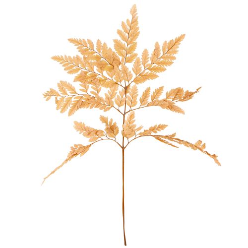 Product Fern Decoration Real Fern Fronds Orange Preserved 45cm 10 Pcs