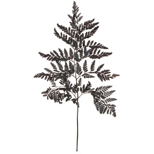 Product Fern Decoration Real Fern Fronds Black Preserved 45cm 10 Pcs