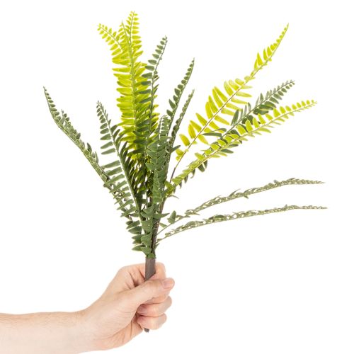 ProductName  
Artificial Fern Spray Green 45cm for Home Decoration  

ProductDescription  
<h2>Artificial Fern Spray for Versatile Home Decoration</h2>  
<p>This artificial fern spray is a vibrant, lifelike decoration that brings a natural touch to your h | Floristik24.co.uk