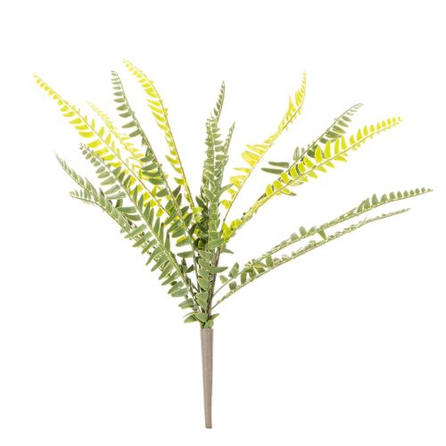 ProductName  
Artificial Fern Spray Green 45cm for Home Decoration  

ProductDescription  
<h2>Artificial Fern Spray for Versatile Home Decoration</h2>  
<p>This artificial fern spray is a vibrant, lifelike decoration that brings a natural touch to your h | Floristik24.co.uk