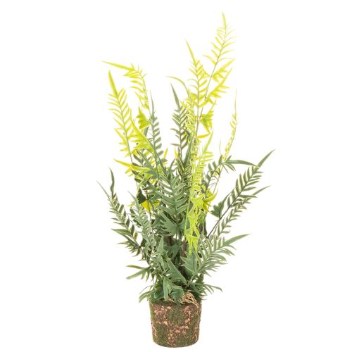 ProductName  
57cm Artificial Fern with Decorative Earth Ball for Home and Office Decoration  

ProductDescription  
<div>  
<h2>Artificial Fern for Stylish Home and Office Decoration</h2>  
<p>This artificial fern stands 57cm tall and offers a natural-lo buy online | Floristik24.co.uk