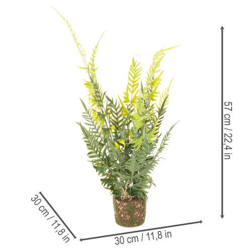ProductName  
57cm Artificial Fern with Decorative Earth Ball for Home and Office Decoration  

ProductDescription  
<div>  
<h2>Artificial Fern for Stylish Home and Office Decoration</h2>  
<p>This artificial fern stands 57cm tall and offers a natural-lo | Floristik24.co.uk