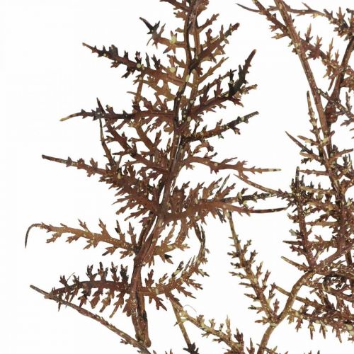 Product Artificial Fern Brown Artificial Fern Autumn Decoration 72cm