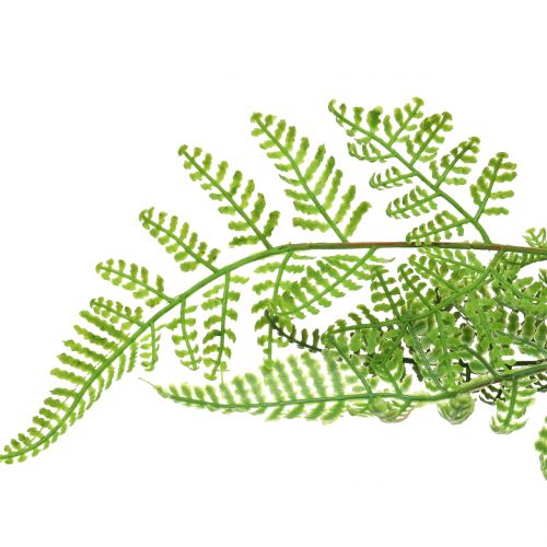 Product Tree fern in a pot green 60cm