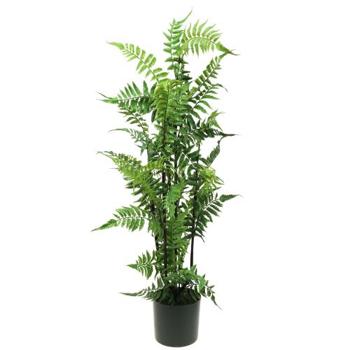 Floristik24 Tree fern in pot green 80cm