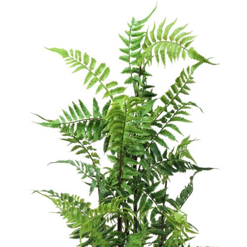 Product Tree fern in pot green 80cm