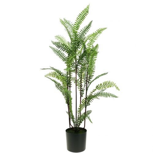 Product Fern in pot green 80cm