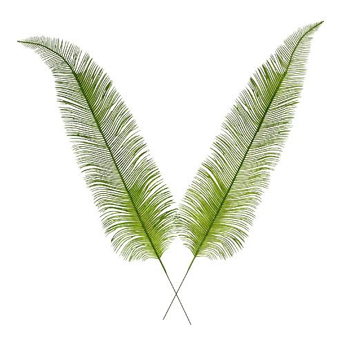 Floristik24 Fern leaves green 59cm 6pcs