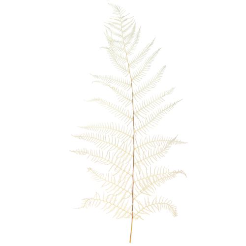 Fern Leaves White Fern Dried Bleached 50cm 10 pcs