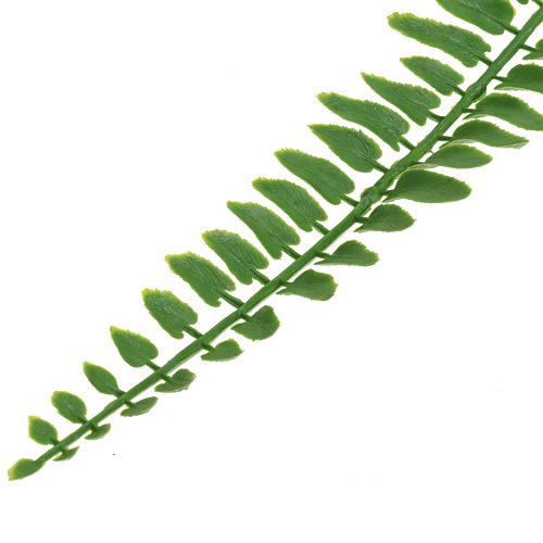 Floristik24 Fern leaf green 130cm 3pcs