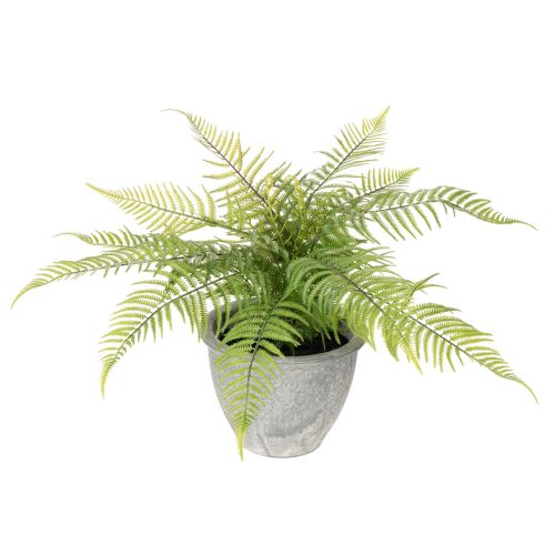Kunststoff Fern in Plant Pot 35cm for Indoor Decoration buy online | Floristik24.co.uk