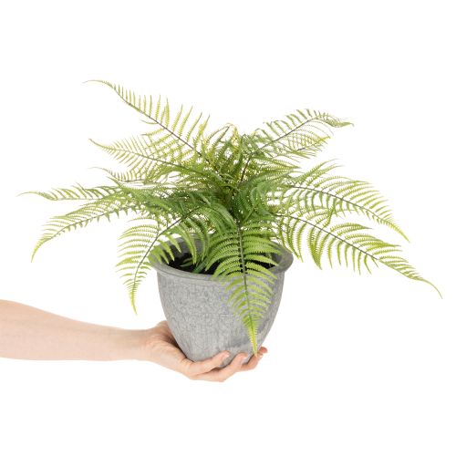 Kunststoff Fern in Plant Pot 35cm for Indoor Decoration | Floristik24.co.uk