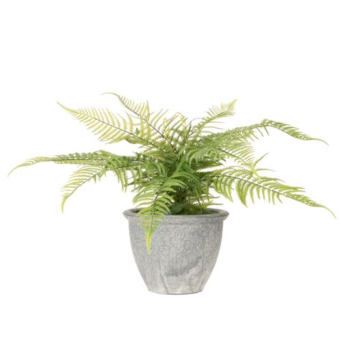 Kunststoff Fern in Plant Pot 35cm for Indoor Decoration | Floristik24.co.uk