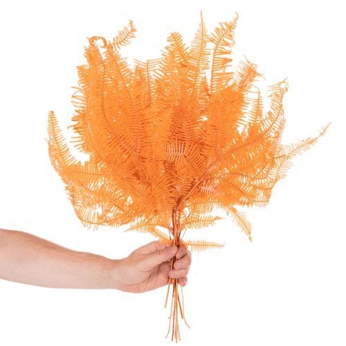 Preserved Orange Fern Stems 60cm for Indoor Arrangements – Set of 10 | Floristik24.co.uk