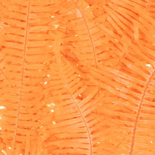 Preserved Orange Fern Stems 60cm for Indoor Arrangements – Set of 10 | Floristik24.co.uk