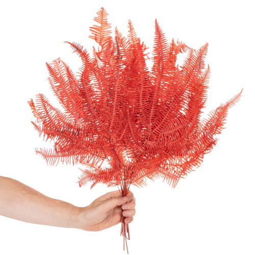 Preserved Fern Bundle Red 60cm 10 Stems for Indoor Decoration | Floristik24.co.uk