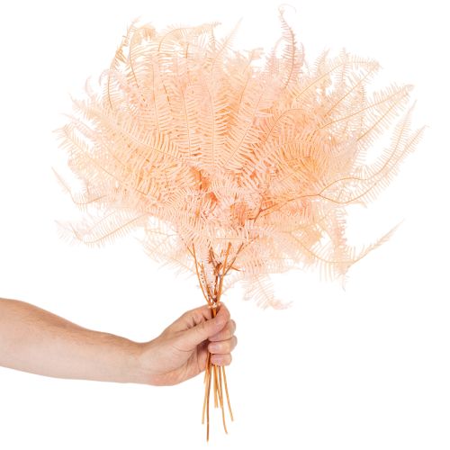 Dried Fern Stems 60cm Set of 10 in Light Pink for Home Decoration | Floristik24.co.uk