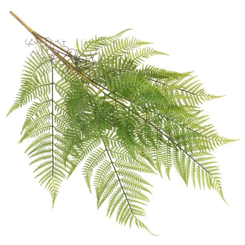 Kunststoff Fern Stem Decorative Green Plant for Indoor Arrangements 80cm | Floristik24.co.uk