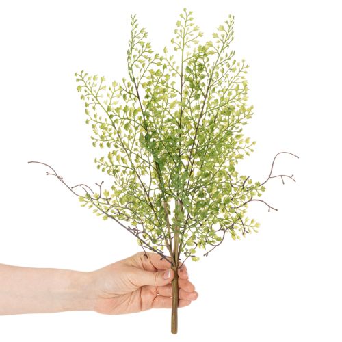 Artificial Green Ruscus Spray for Floral Decoration 41cm  

```html
<h2>Artificial Green Ruscus Spray for Home and Floral Decoration</h2>

<p>This artificial green Ruscus spray is a versatile addition to your home decor or floral arrangements. Measuring 4 | Floristik24.co.uk
