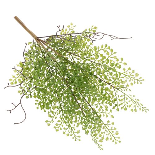 Artificial Ruscus Spray Green 41cm for Home and Floral Decorations | Floristik24.co.uk