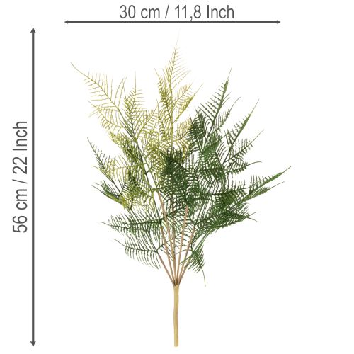 **Artificial Fern Stem Green Natural-Looking 56cm**

```html
<h2>Naturalistic Artificial Fern Stem for Home Decoration</h2>

<p>
This artificial fern stem is designed with a natural-looking green finish, offering a versatile decorative option for your ind | Floristik24.co.uk