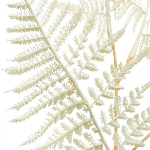 Product Decorative leaf fern, artificial plant, fern branch, decorative fern leaf white L59cm