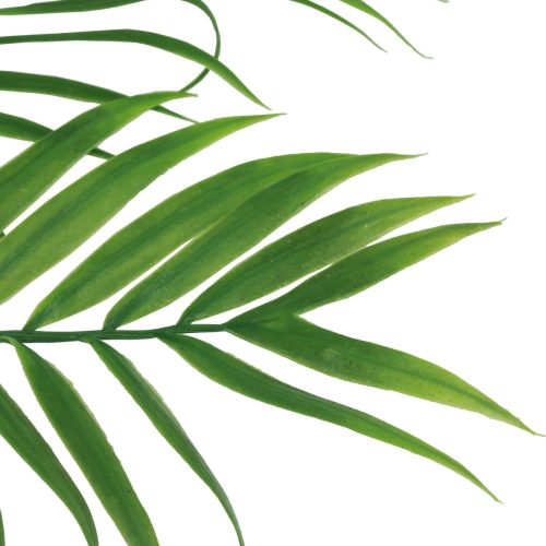 Product Palm tree decoration palm fronds artificial plants green 56cm 3pcs