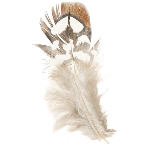 Pheasant feathers for crafts, brown spotted, 4-9 cm, 60 pieces