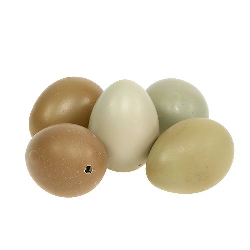 Floristik24 Pheasant egg nature green 4.5cm 12pcs