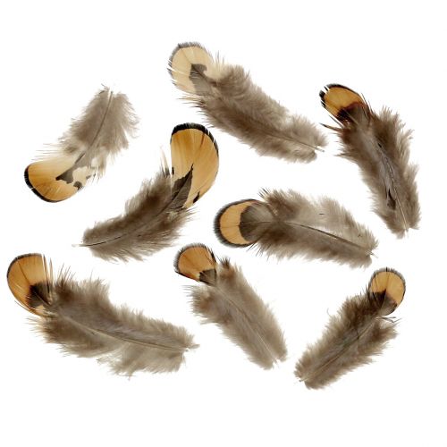 Floristik24 Spring Mix Nature 12g