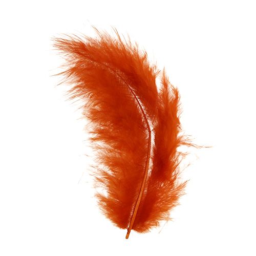 Product Spring short dark orange 30g